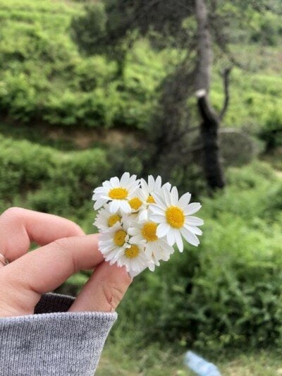 بروفايل بنات كيوت جدا.