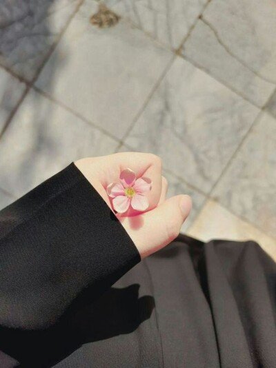 خلفيات وبروفايلات بنوتات كيوت.