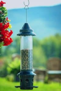 Squirrel Repellent Bird Feeder