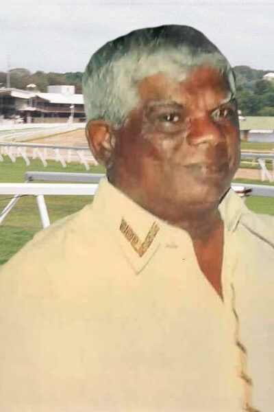 Bison Ramanoop