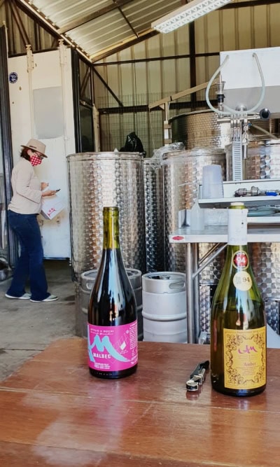 Wine tours in Casablanca, Chile