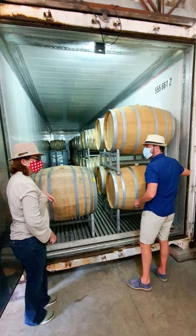 Wine tasting in Casablanca, Chile