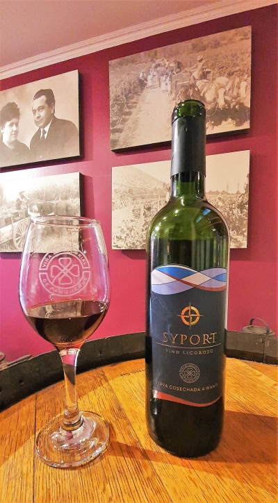 High altitude Port from El Escorial in the Aconcagua wine region