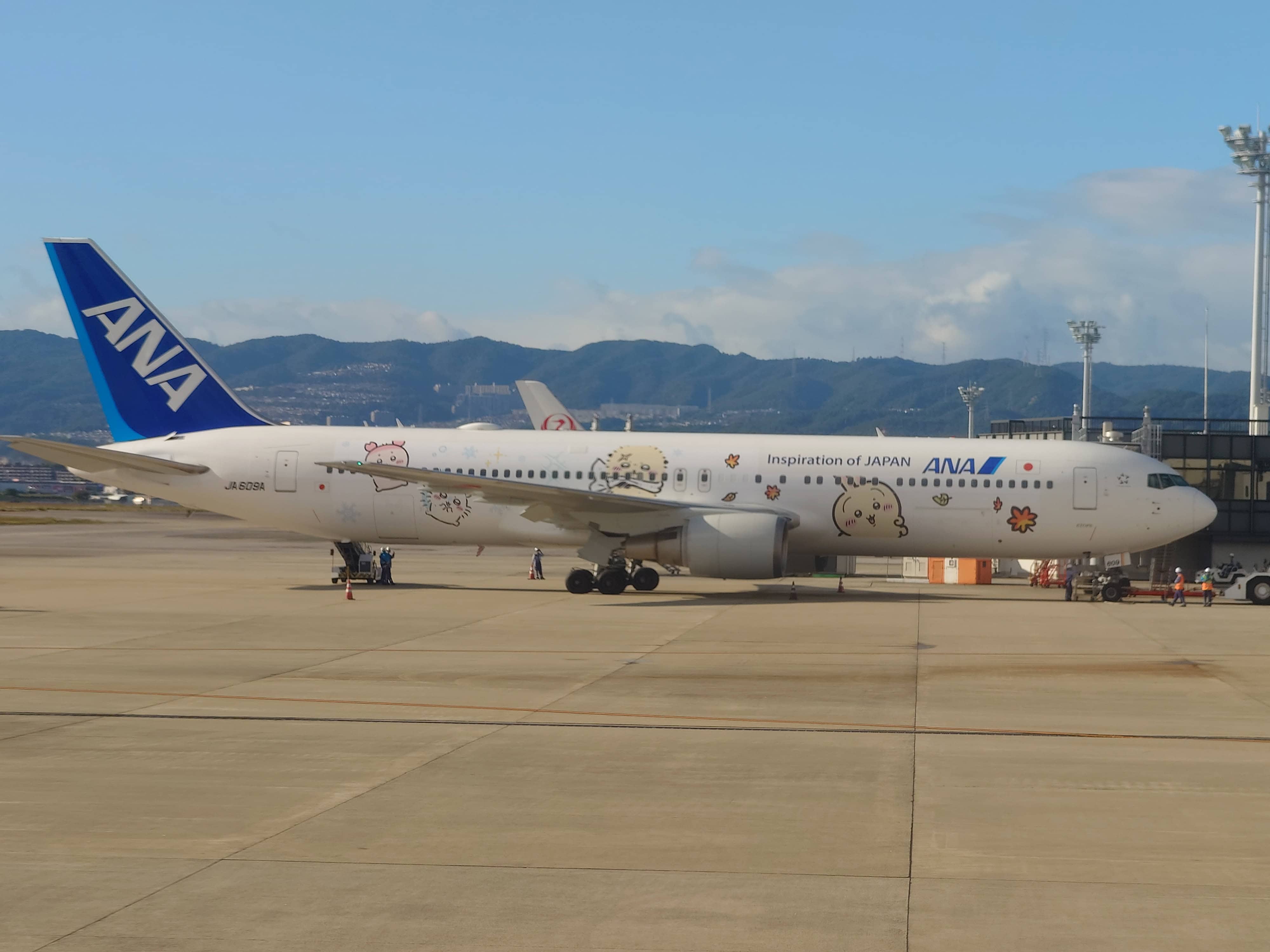 86.特別塗装のANA機