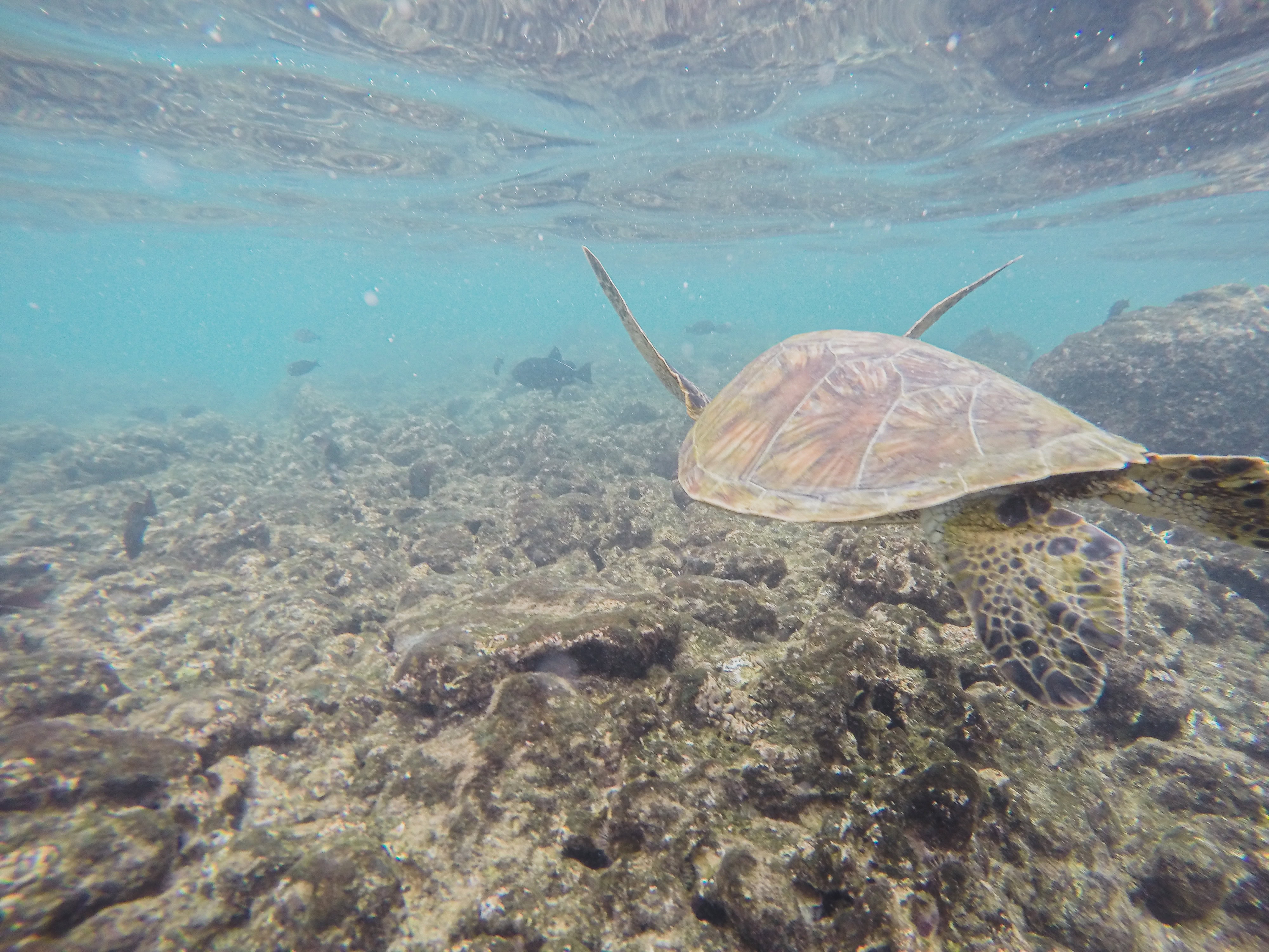 Big Island Hawaii itinerary