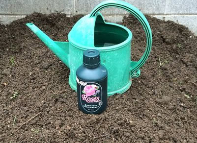 菌の黒汁を堆肥に1