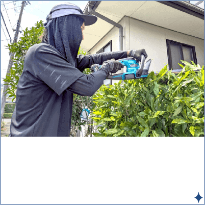 お掃除メニュー：生け垣・低木の整備