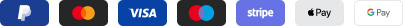 PayPal, Mastercard, Visa, Maestro, Stripe, Apple Pay, and Google Pay