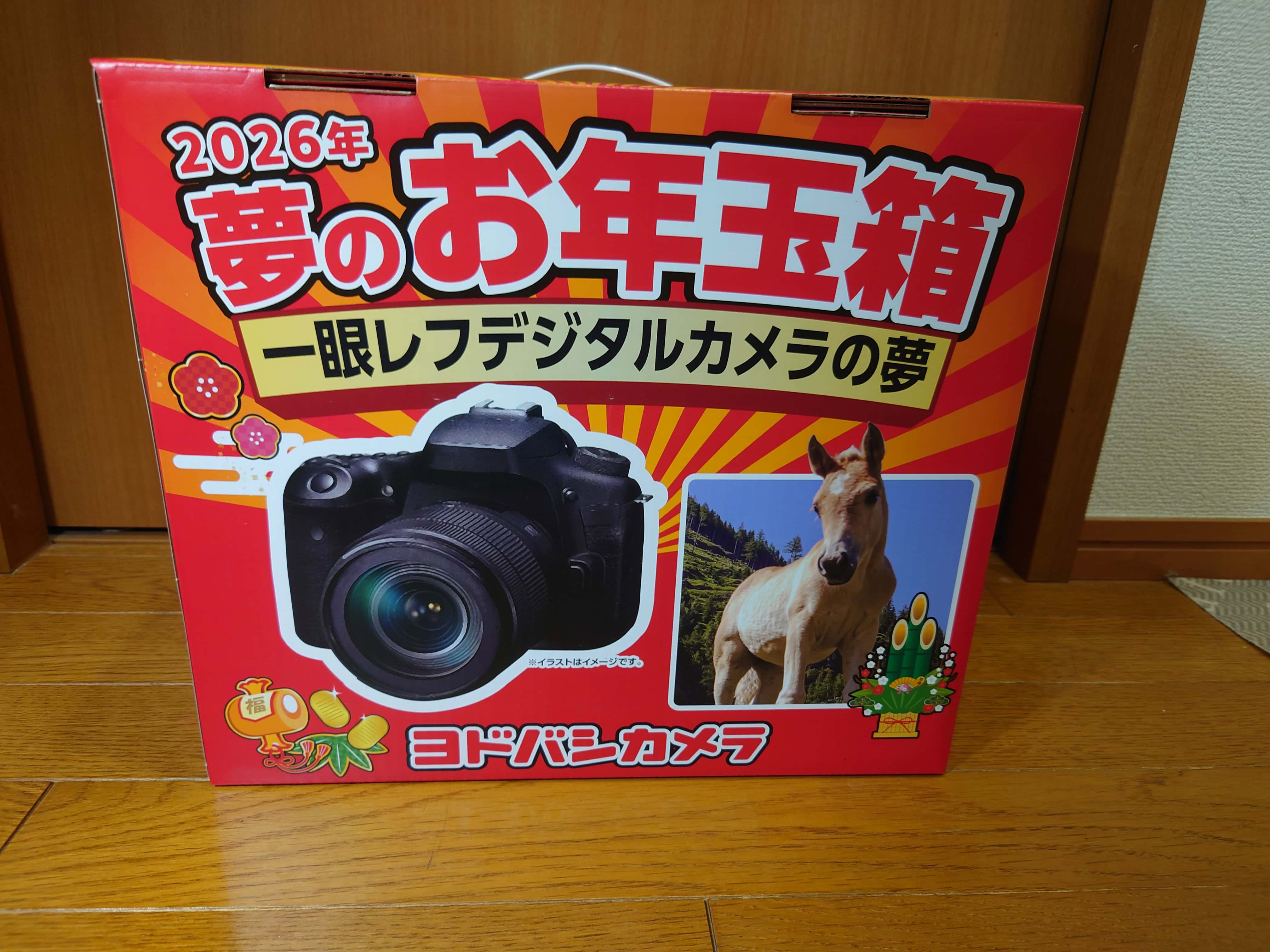 夢のお年玉箱2026一眼レフデジタルカメラの夢２