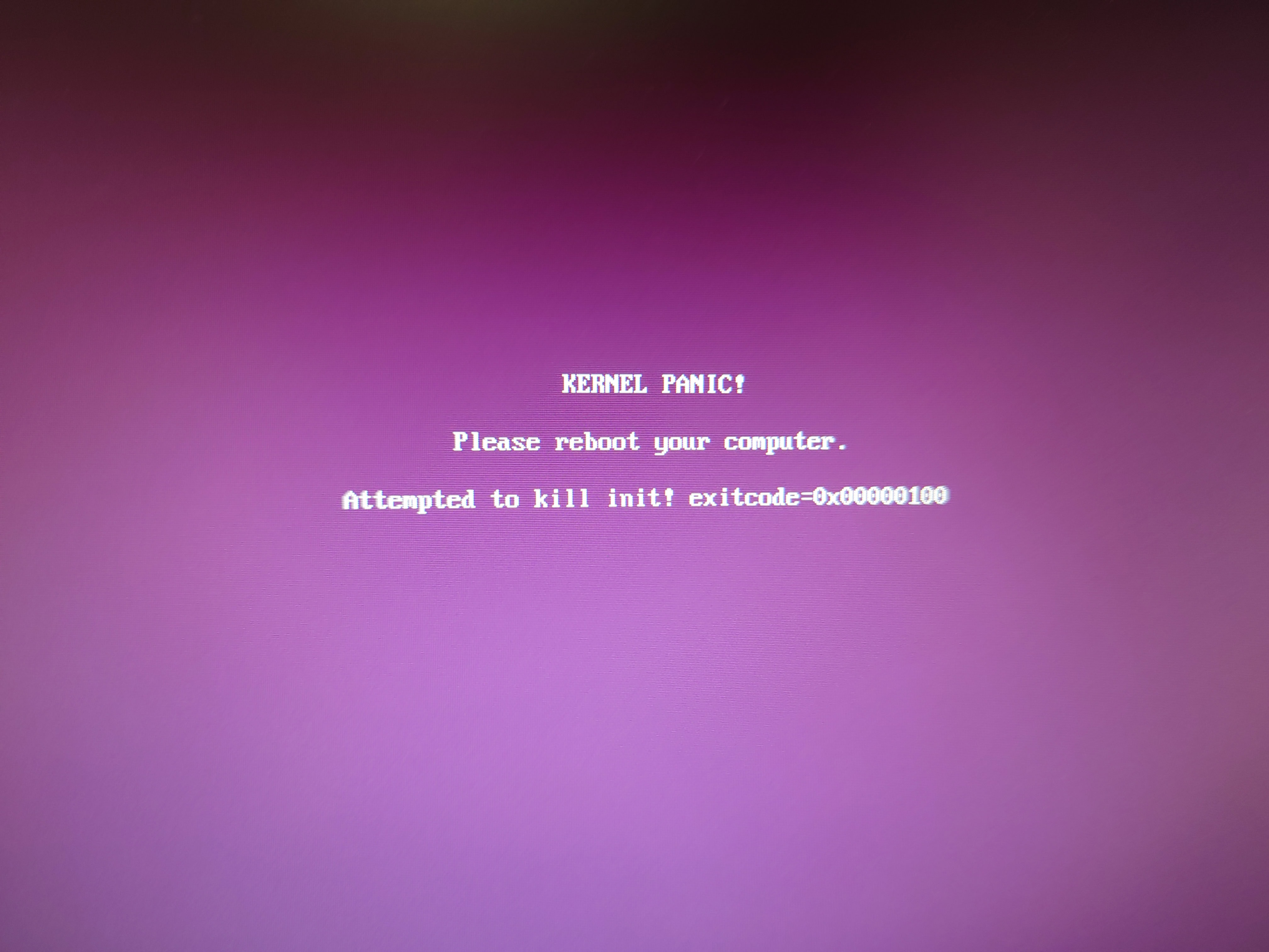 カーネルパニックの画面拡大