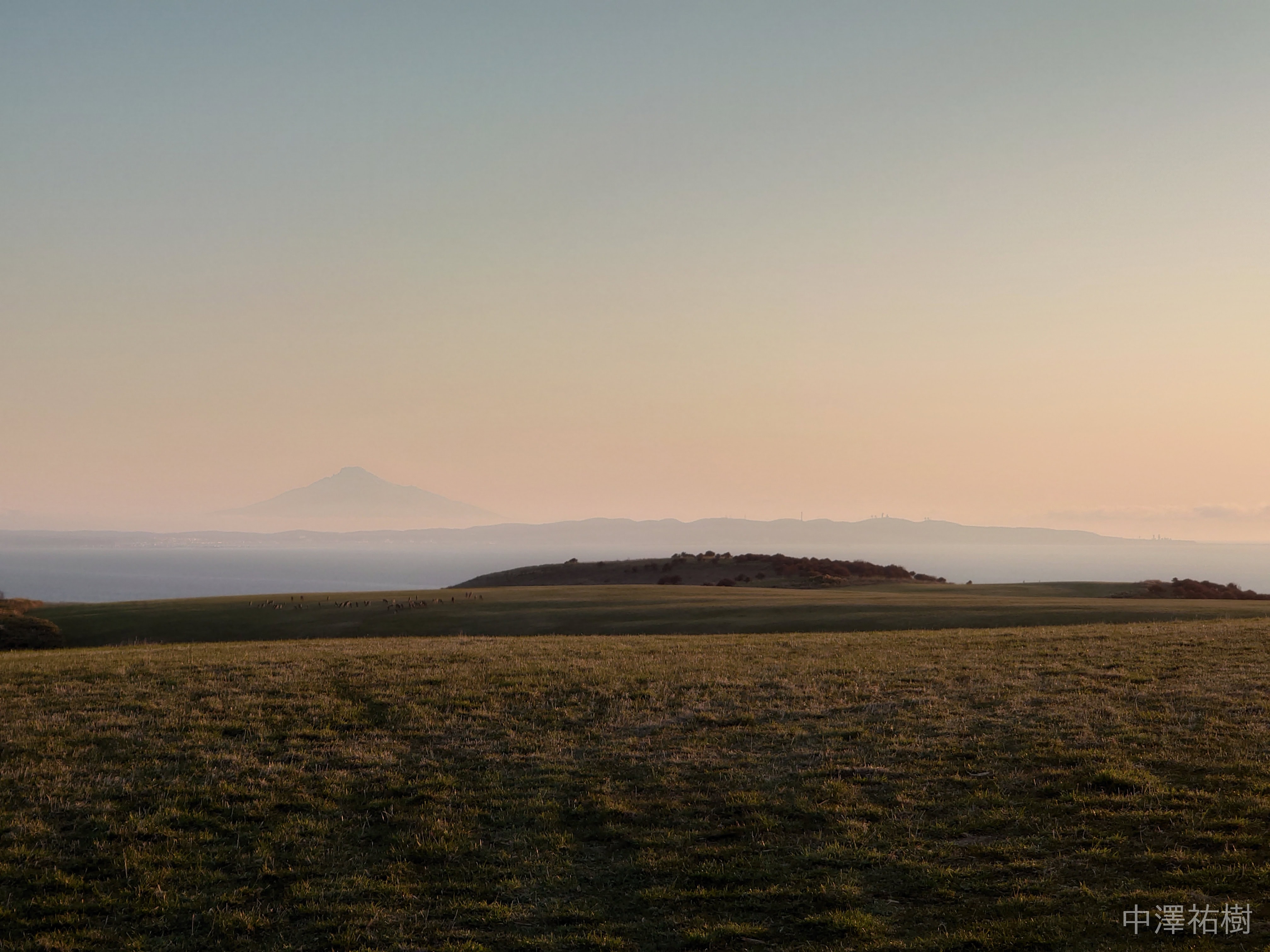 196.宗谷丘陵・夕景の草原とエゾシカ②
