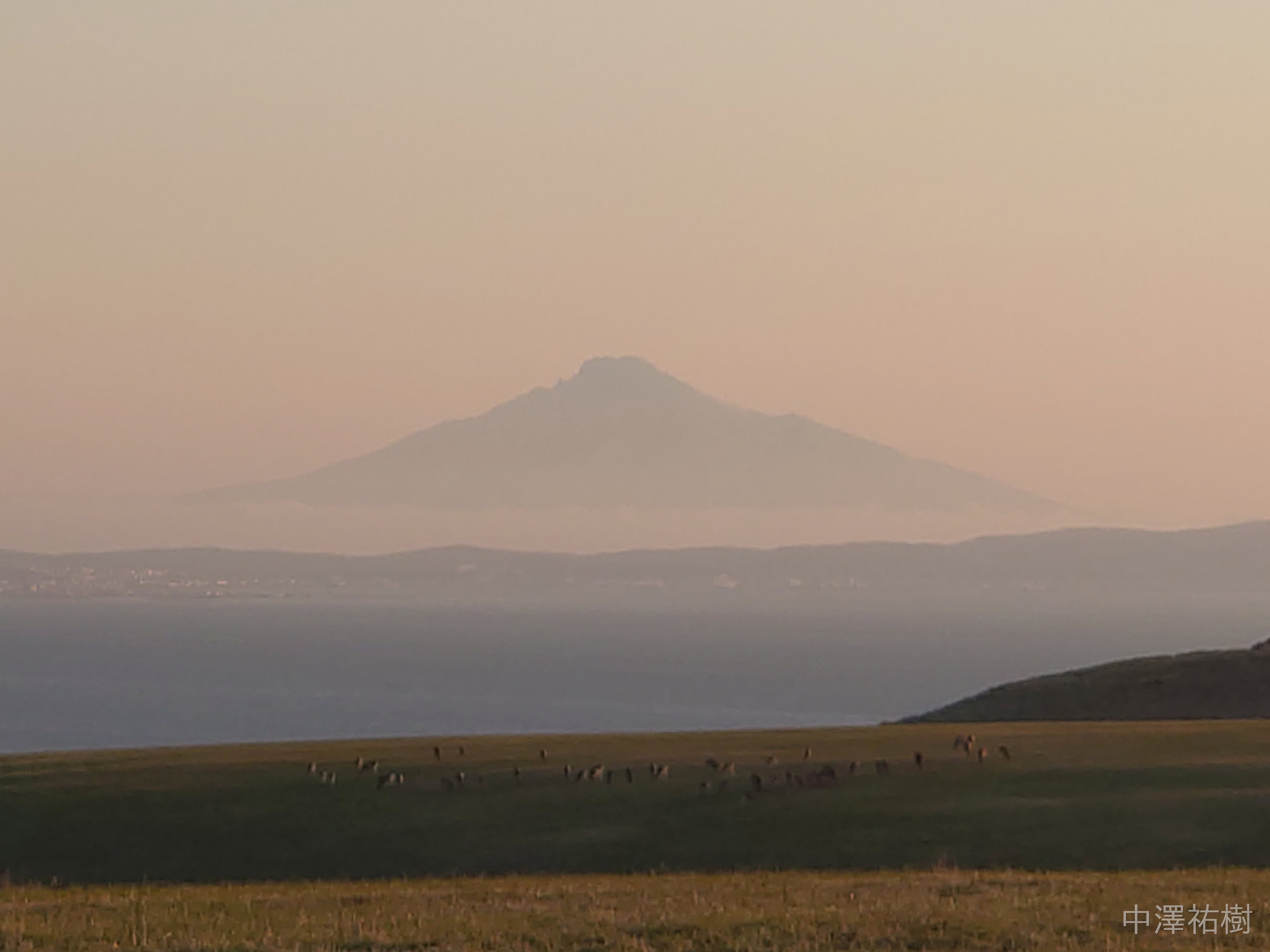 197.宗谷丘陵・夕景の草原とエゾシカ③