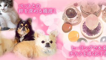 ichigoe　いちごえ　秋田県　秋田市　占い　当たる　おすすめ