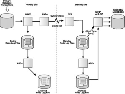 Oracle Data Guard mimarisi - Primary ve Standby site arasında redo log akışı