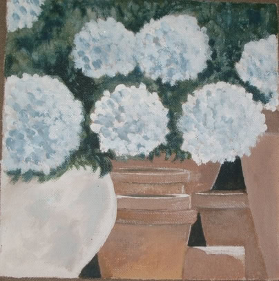 Hortensias bleus - Ateliers de naturopathie à Mouans-Sartoux