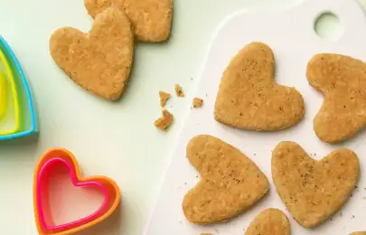 Crackers de Orégãos:descubra como fazer receitas deliciosas