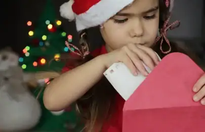 Está a chegar o momento de escrever a Carta ao Pai Natal. Está preparado?