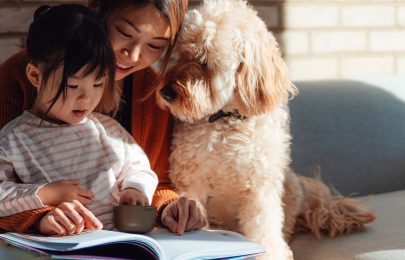 Educação infantil: os melhores livros para pais informados