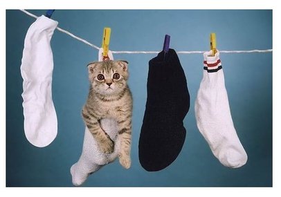 How dry socks