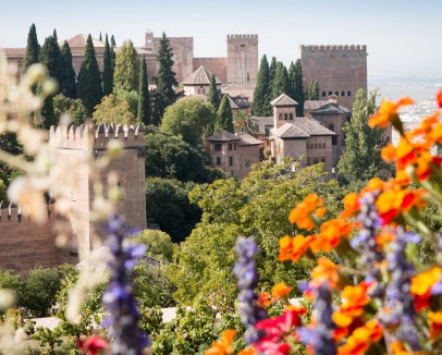 Visite Privée de l'Alhambra