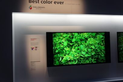 14fb90d3d777dfef0d30bcbfa812c2e5.jpg