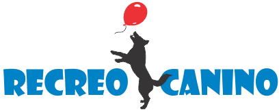 Recreo canino toda la información canina en un solo lugar Blog de Recreo Canino