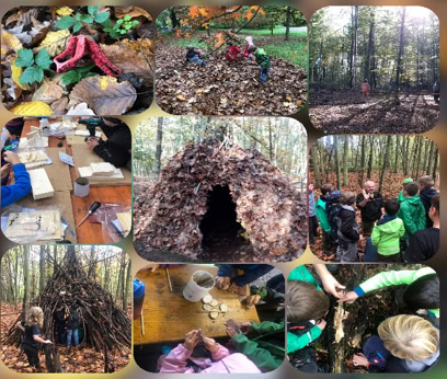 Collage der Waldwoche 2022