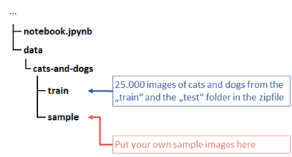 structure of the data that we will use to train the convolutional neural network