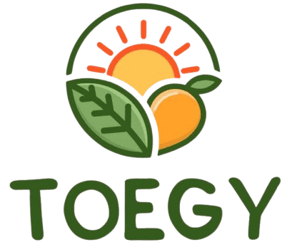 toegy