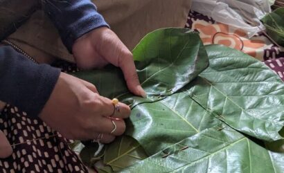 A close-up of hands sewing green sal leaves together with thin bamboo sticks to make an eco-friendly leaf plate
