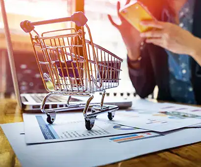 NetSuite Shopify Celigo Integration Urgent Update for API Changes