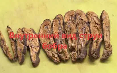 Как выглядит бобровая струя изнутри.Видео