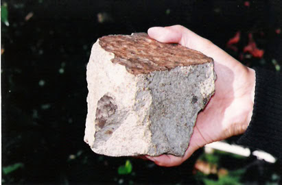 Pedaço do Meteorito Putinga