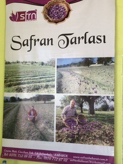 Safranbolu ve Amasra Safran Yetiştirmek