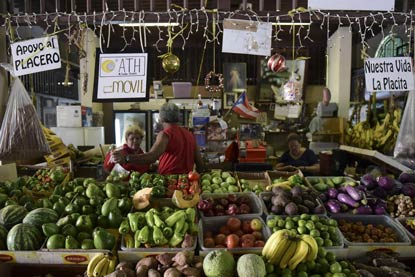 Don’t call it a comeback yet: The future of farming in Puerto Rico