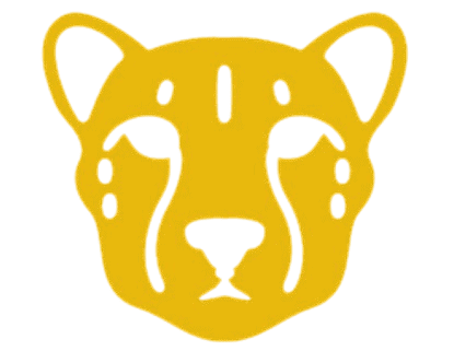ssl logo final transparent