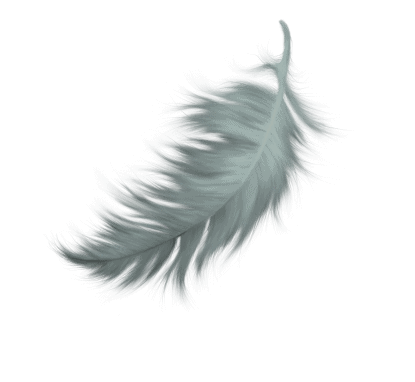feather4