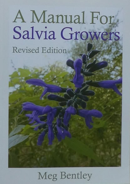 Salvia Manual by Meg Bentley, revised Edition