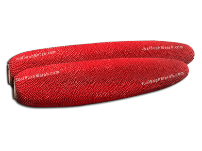 Cahya Buah Merah Papua Red Fruit Indonesia About us