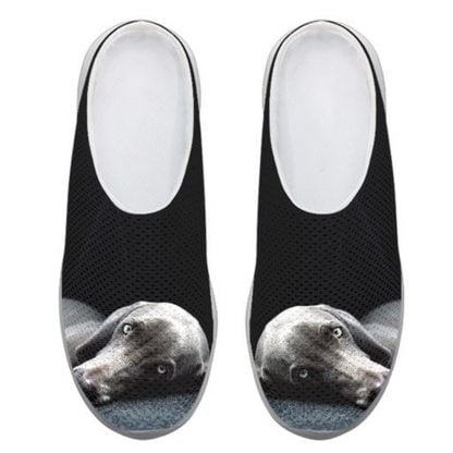 Pantoffel Weimaraner Gr. 43