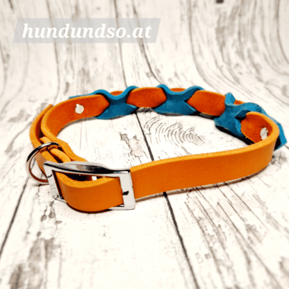 Hundehalsband Leder orange türkis
