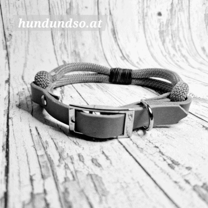 Hundehalsband Dornschnalle