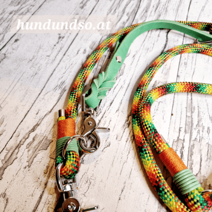 Hundeleine Seil Leder Gummibear