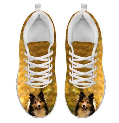 Sportschuh Collie Gr. 40