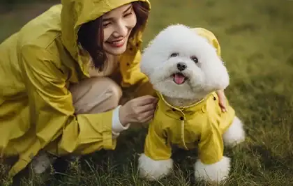Monsoon Pet Care Guide: Expert Tips to Protect Dogs and Cats from Rainy Season Diseases