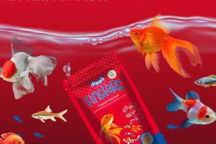 Drools Enters Premium Pet Treats Space With ‘Finsters’ Launch, Expanding Its Pet Nutrition Portfolio