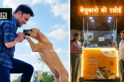 Bejubano Ki Rasoi- Jaipur Man Sells Nutritious 400gm Stray Dog Meals for Just ₹5 | Gajraj Singh Kachhawa