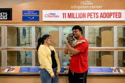 11 Million Pets and Counting: PetSmart Charities Just Launched the Biggest Adoption Week of the Year — Right When Shelters Need It Most