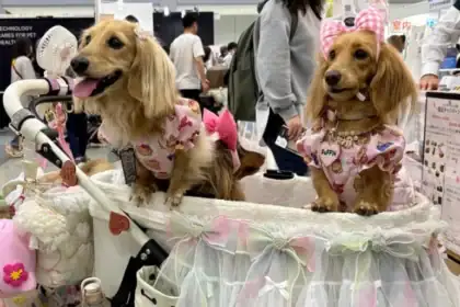 Japan's Pet Economy Surges as Pets Now Outnumber Children, Reshaping Consumer Spending