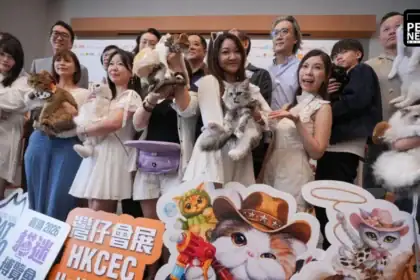 Hong Kong Just Rewrote the Rules for Pet Owners — And the Rest of Asia's Pet Industry Is Taking Notes